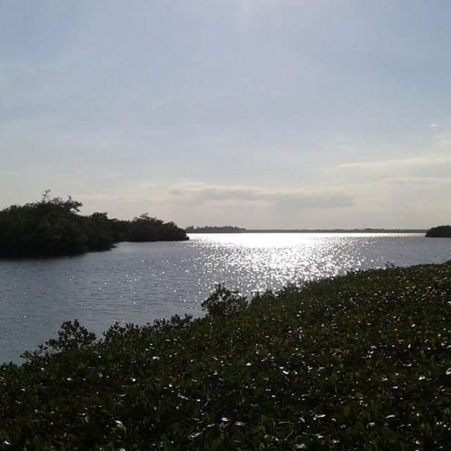 Water Life
