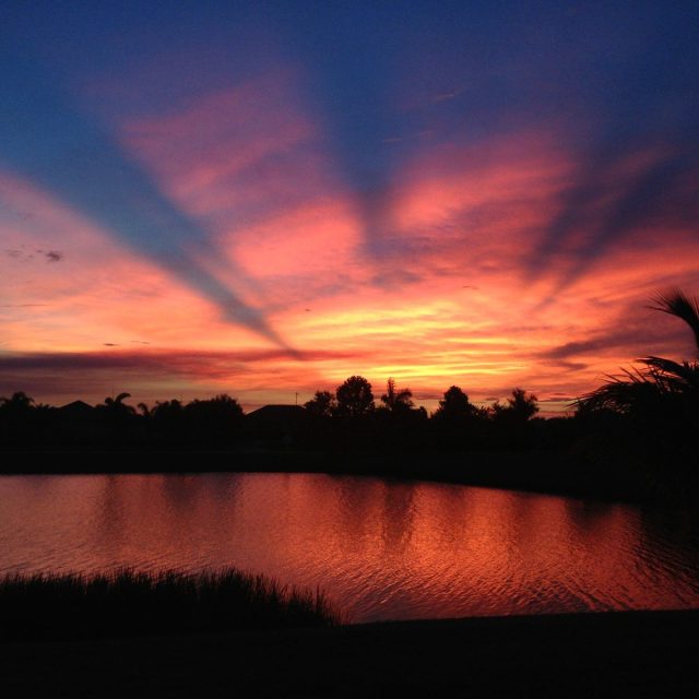 Beautiful Sunset With Palm