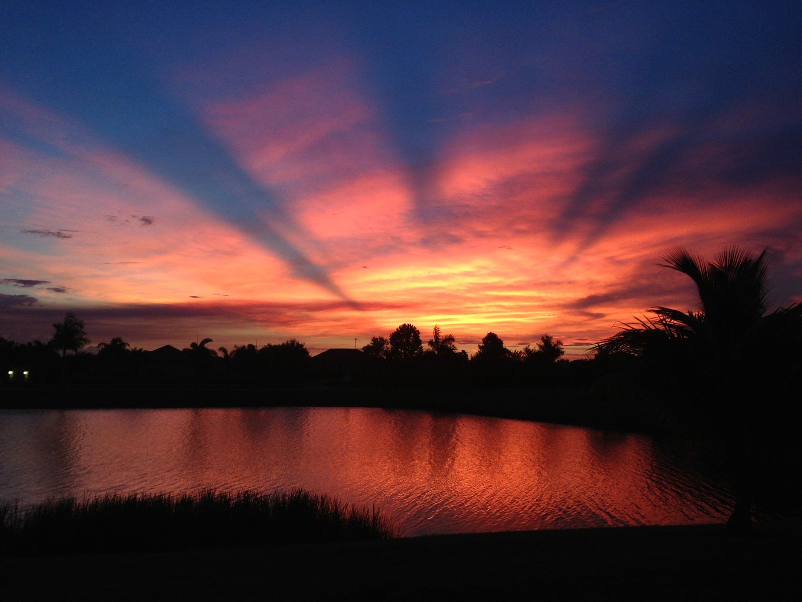 Beautiful Sunset With Palm