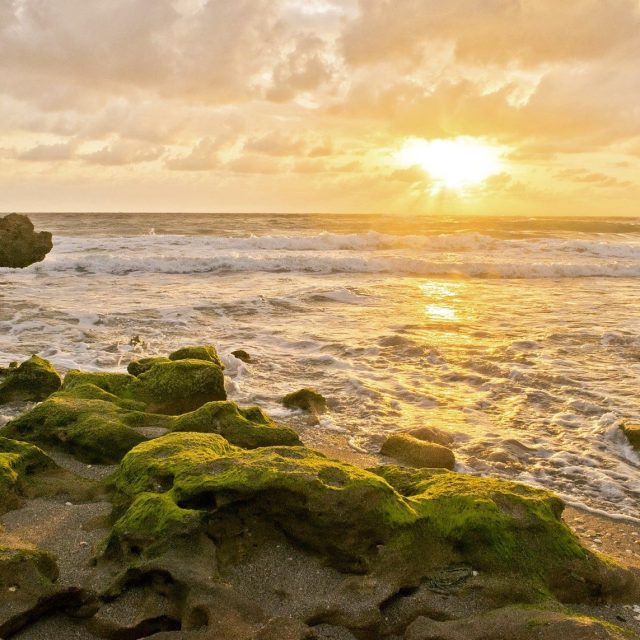 Coral Cove Beach, FL