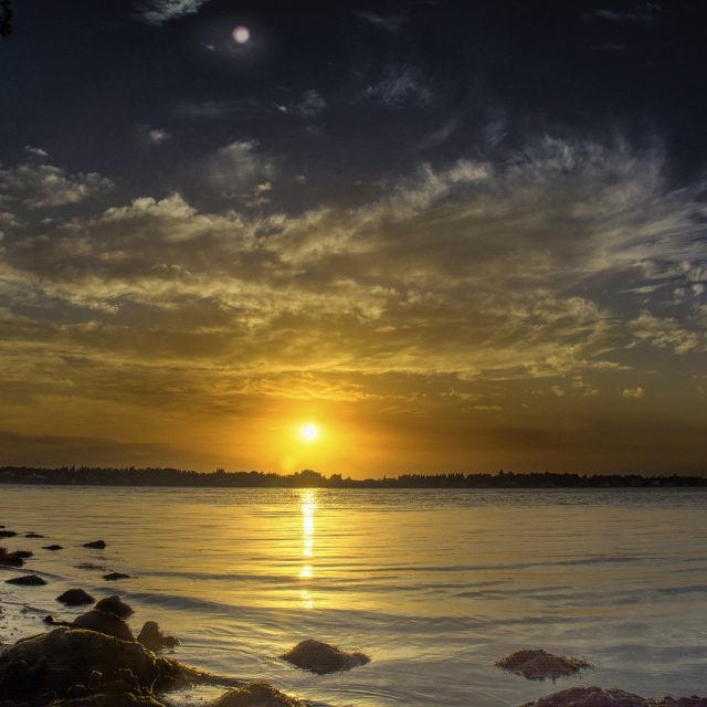 Golden Sun At Wabasso