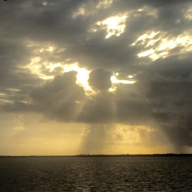 Angel Watching Over Us
