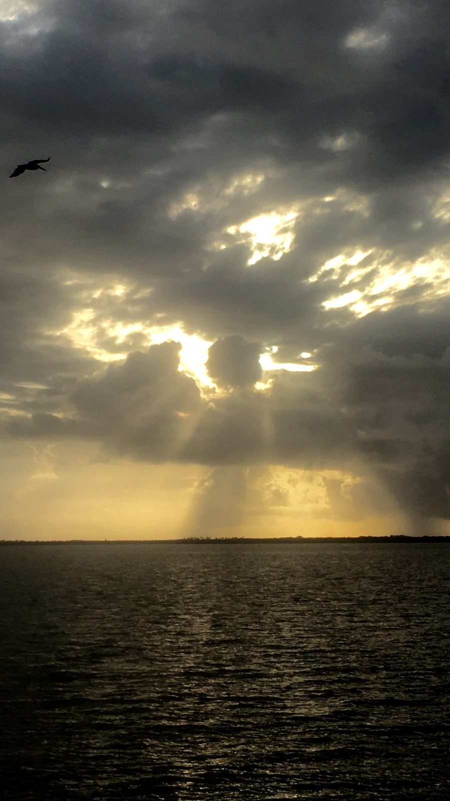 Angel Watching Over Us
