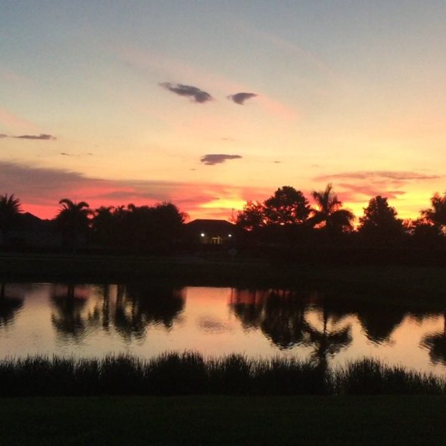 Reflection