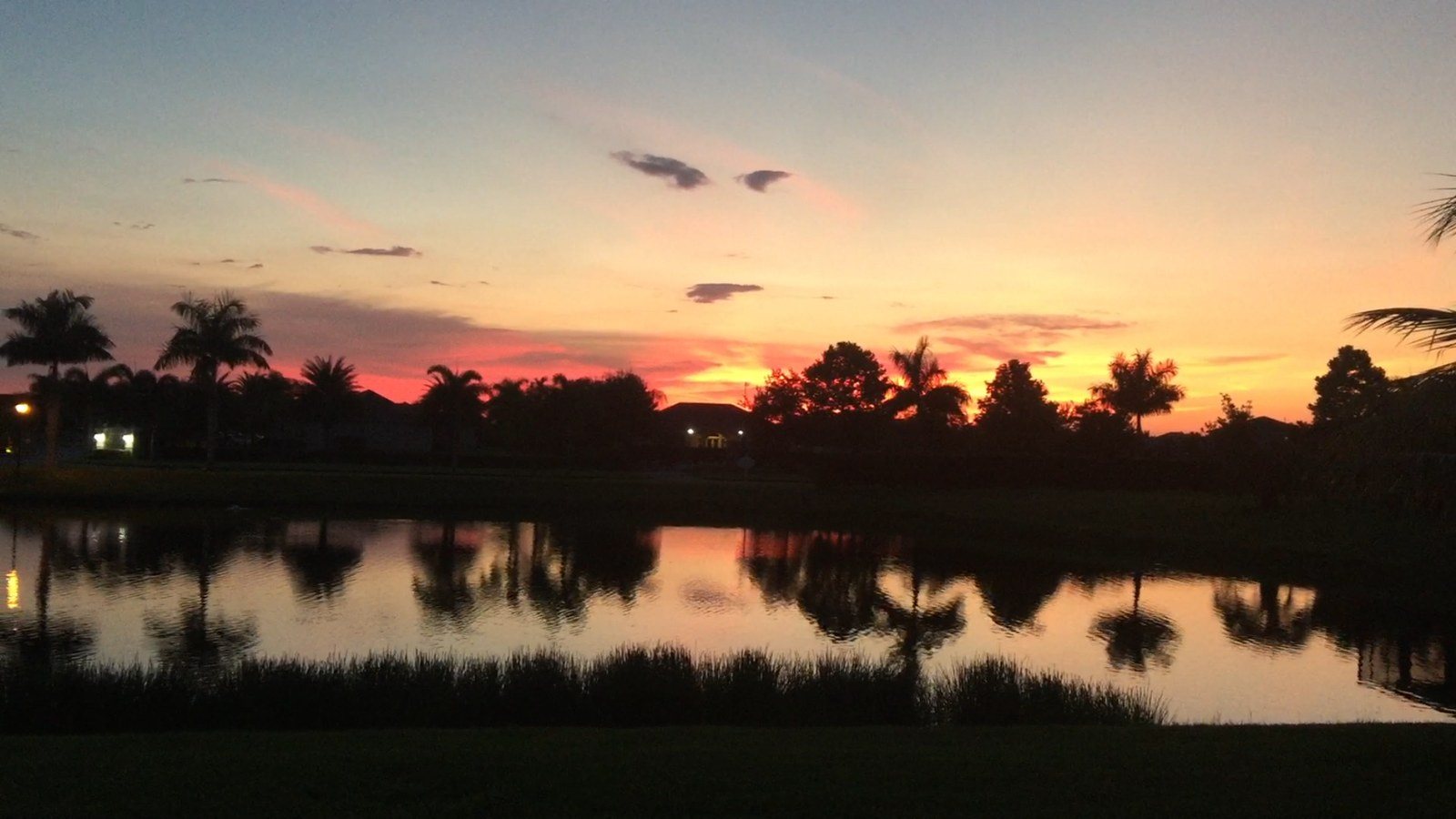 Reflection