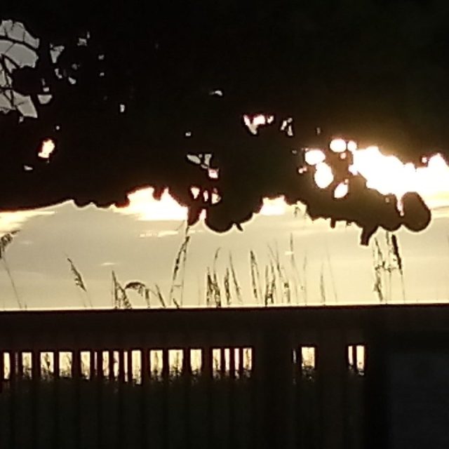 Morning Glow