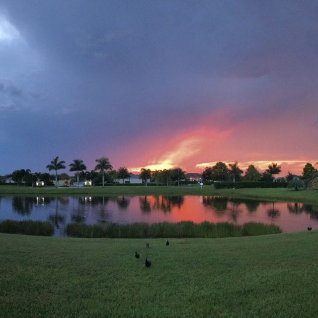 Fire And Ice