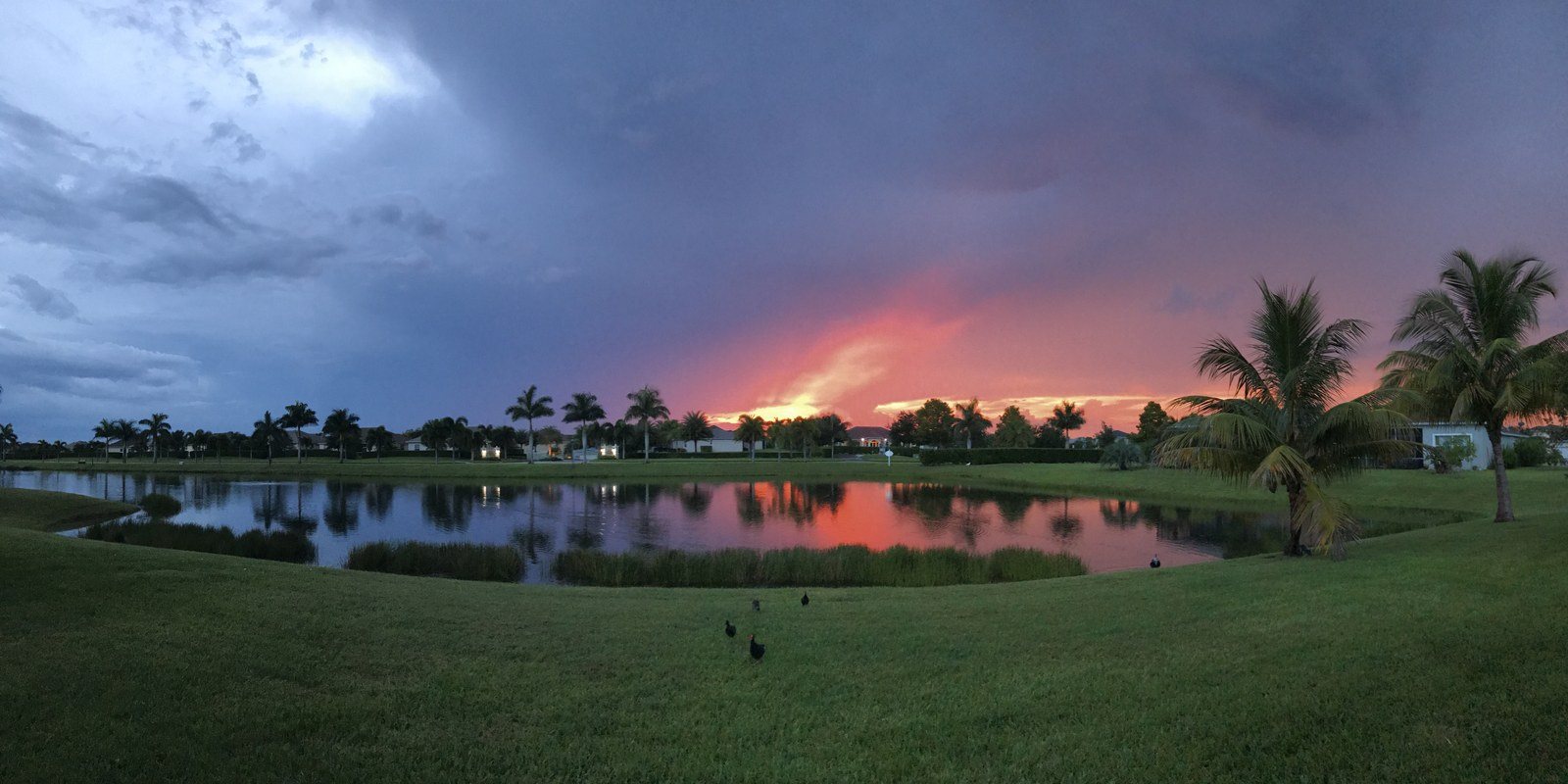 Fire And Ice