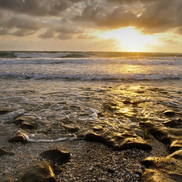Coral Cove Beach, FL