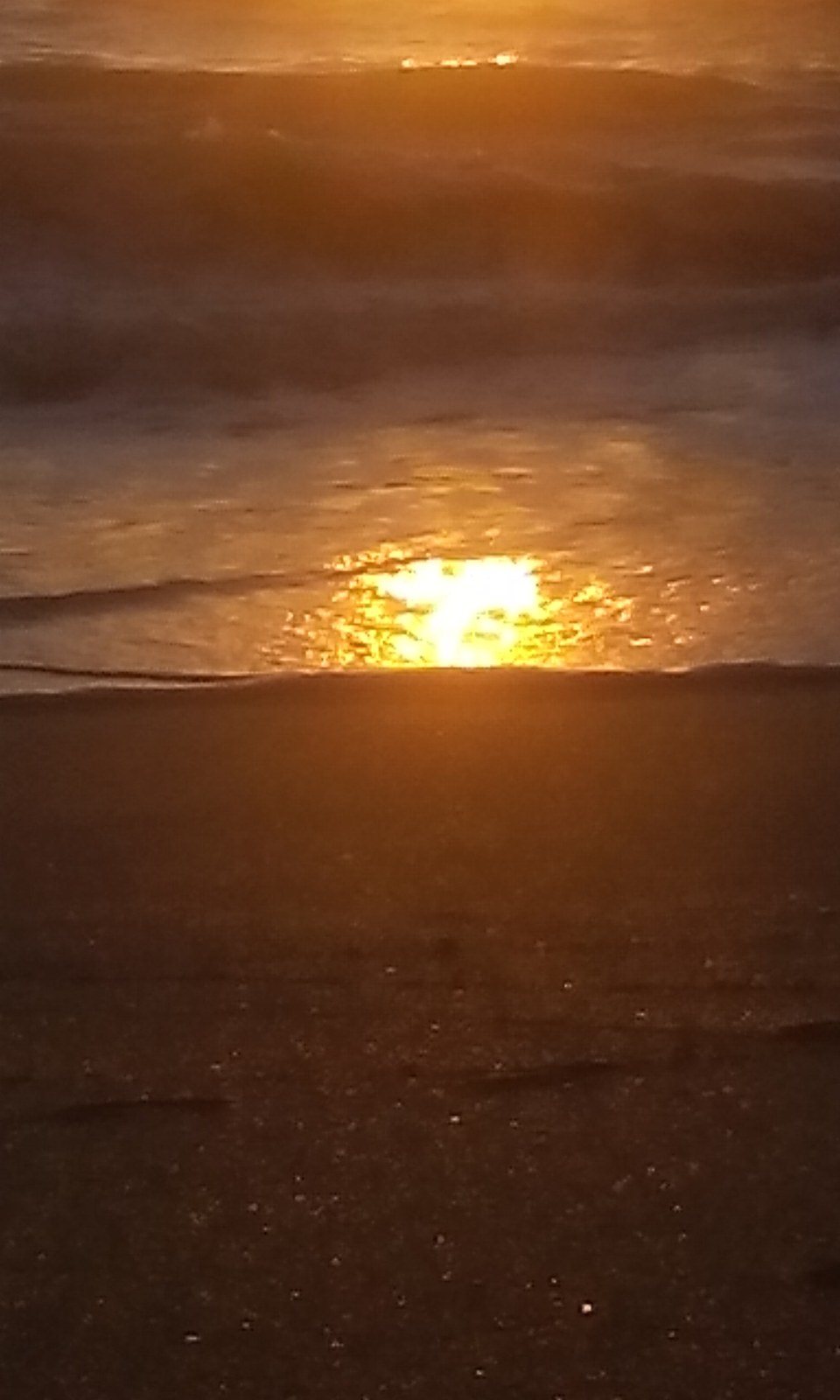 Golden Sands
