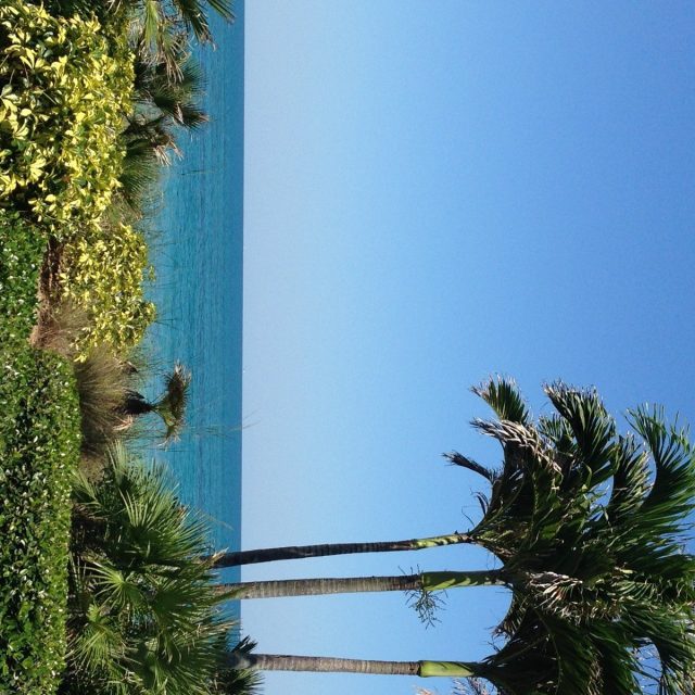 Paradise