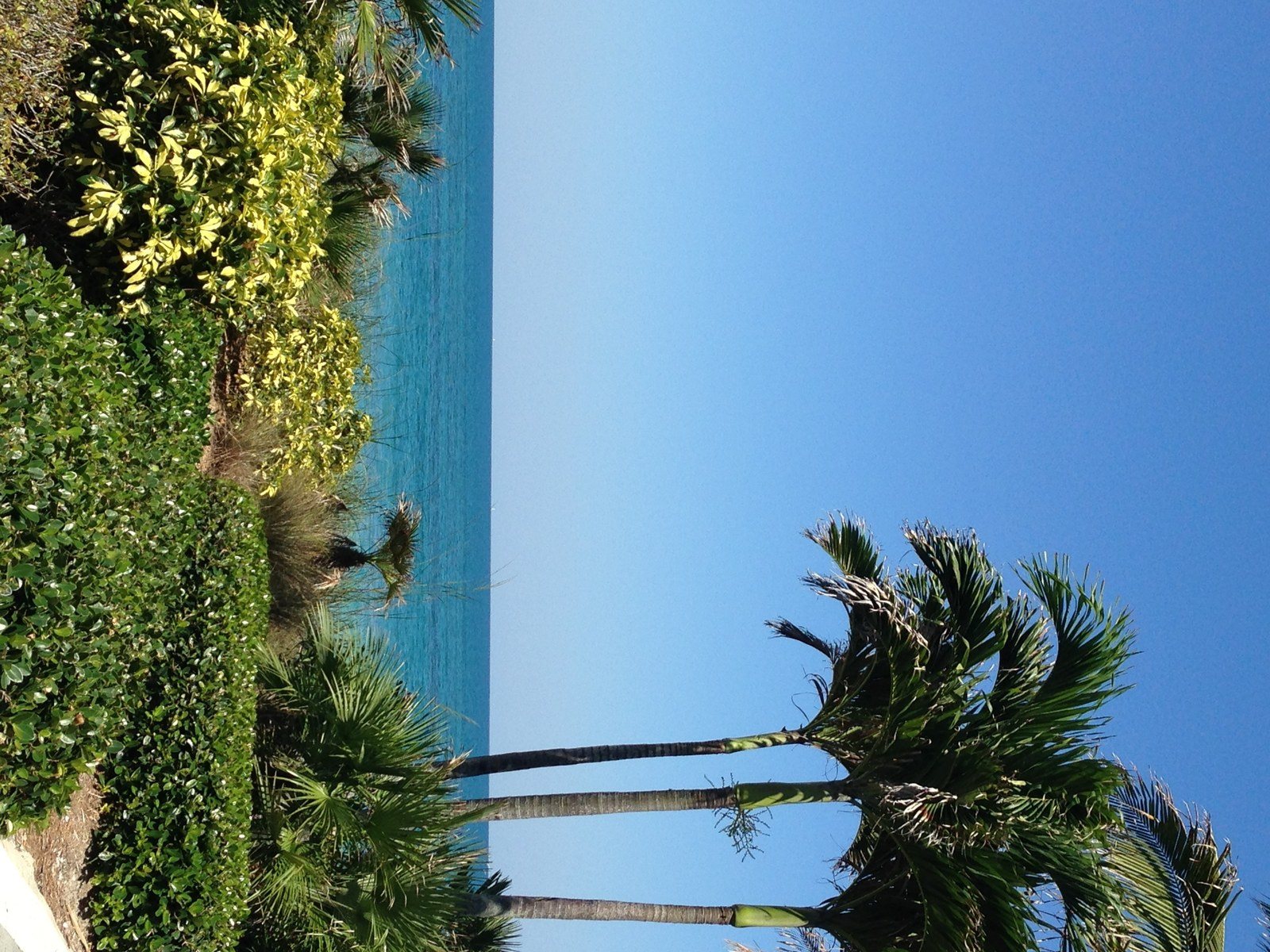 Paradise