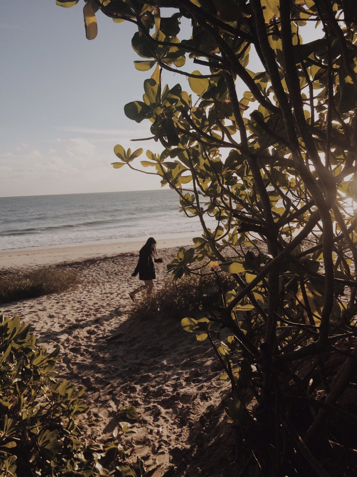 Secluded