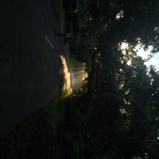 Bike Rides To Lemon Tree