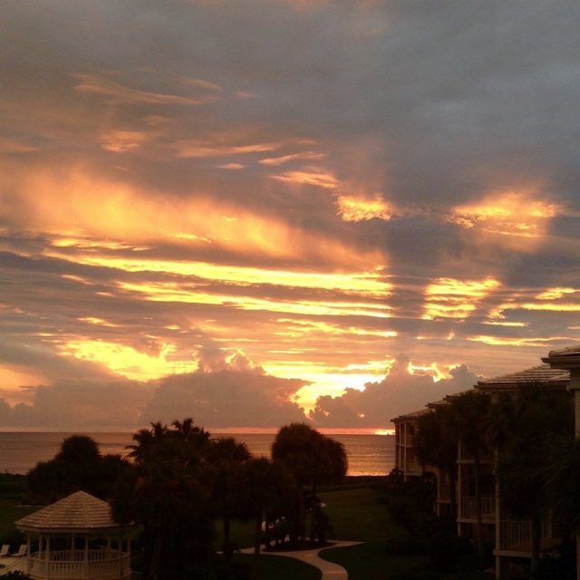 Morning Has Broken