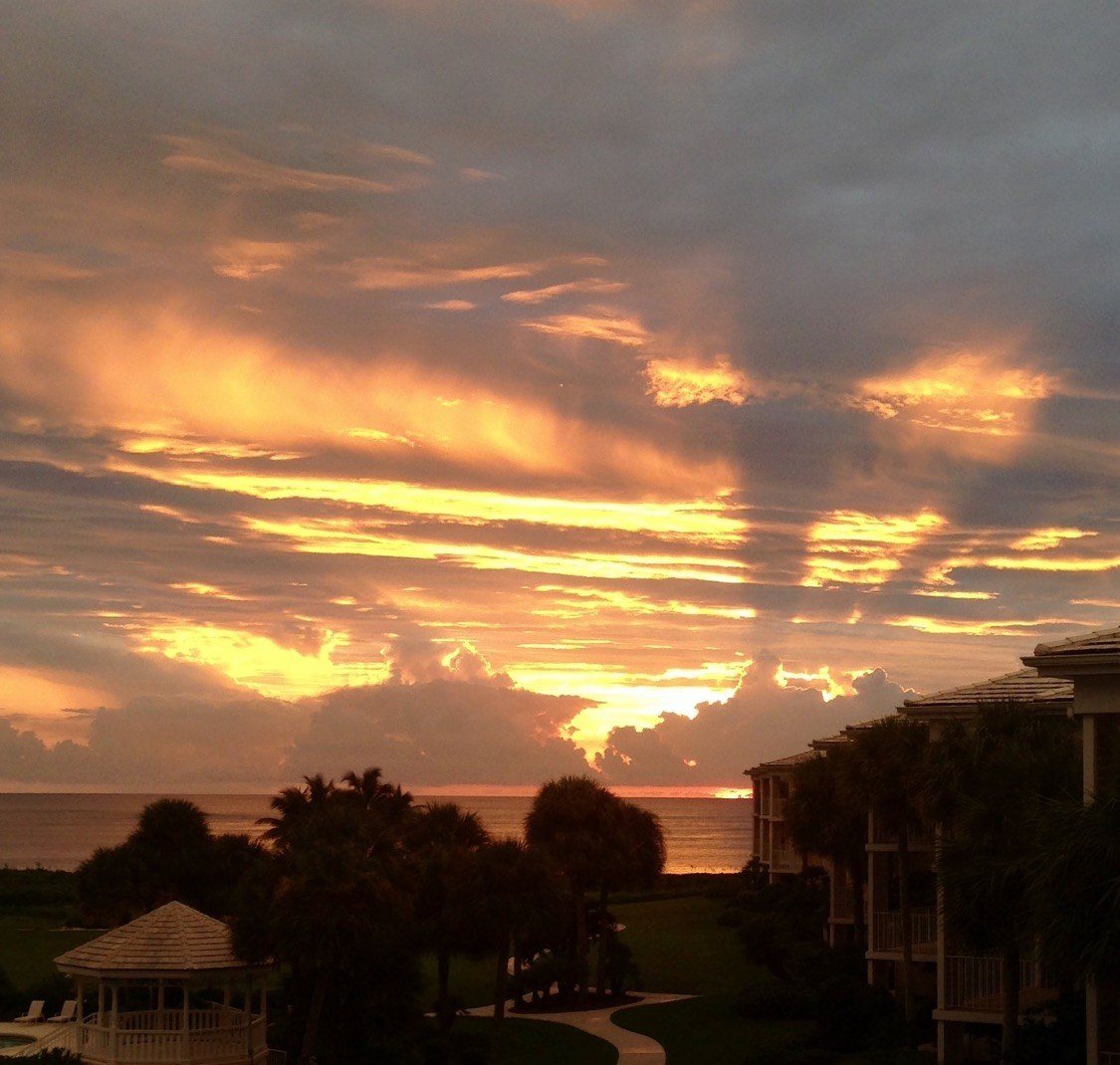 Morning Has Broken