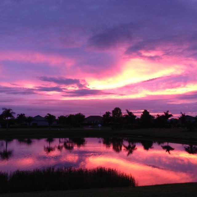 No Filter I Swear! :-)