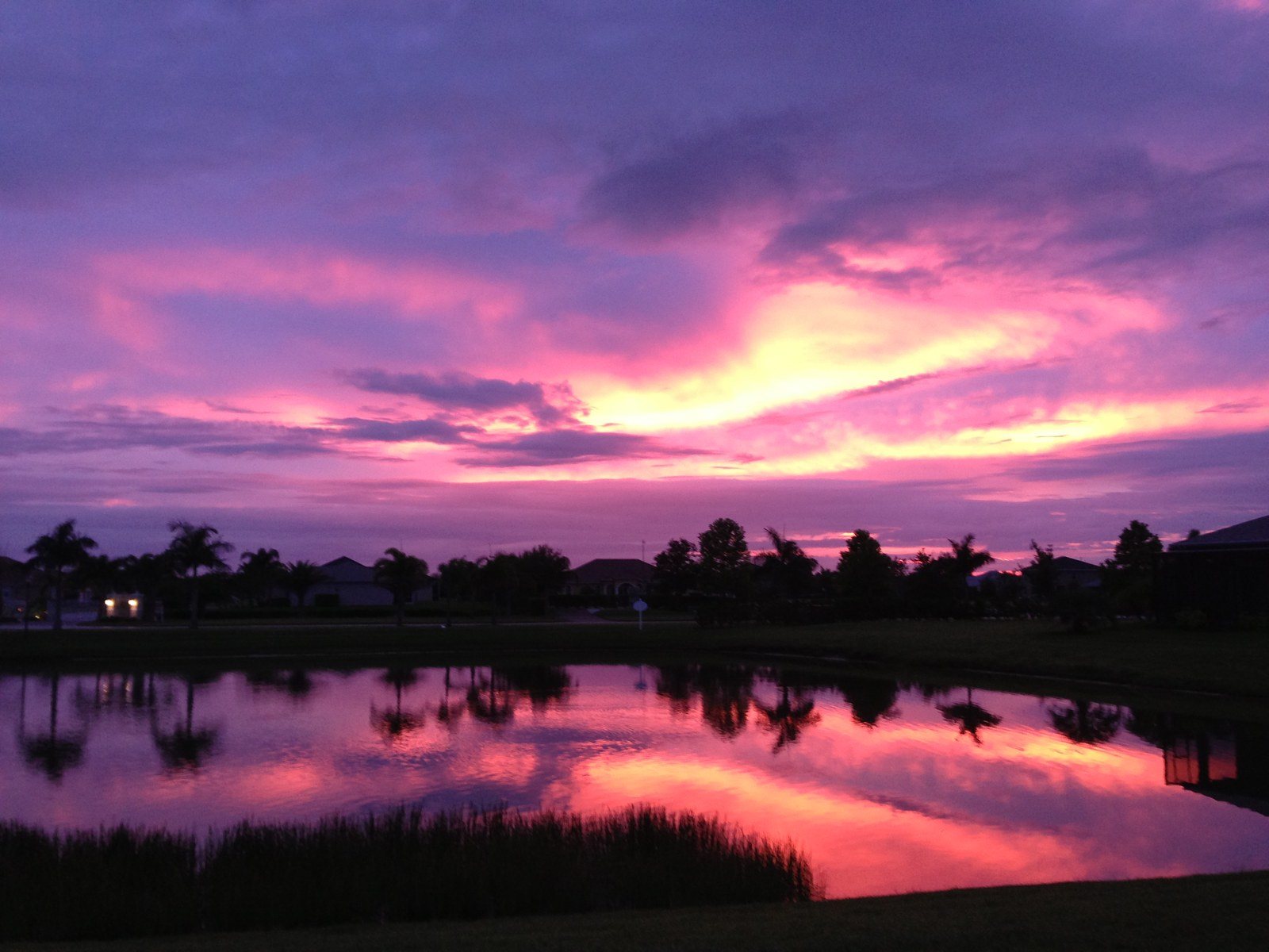 No Filter I Swear! :-)