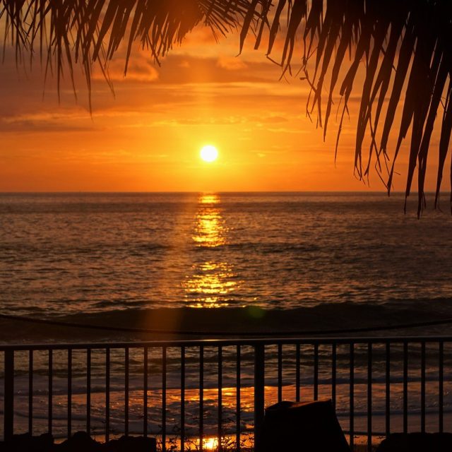 Serendity In Paradise