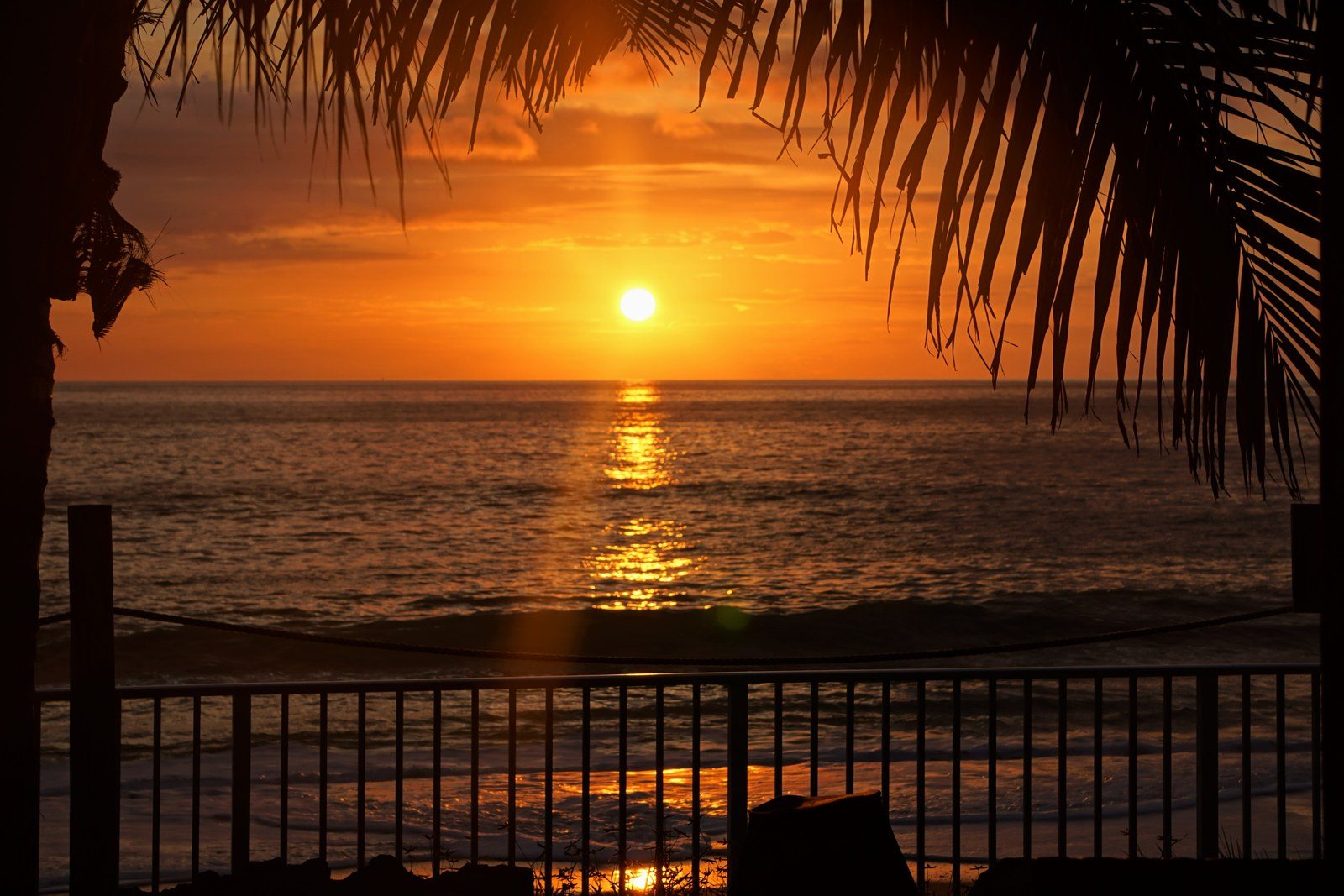 Serendity In Paradise