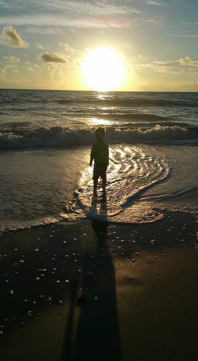 Morning Glory Through The Eyes Of A Child
