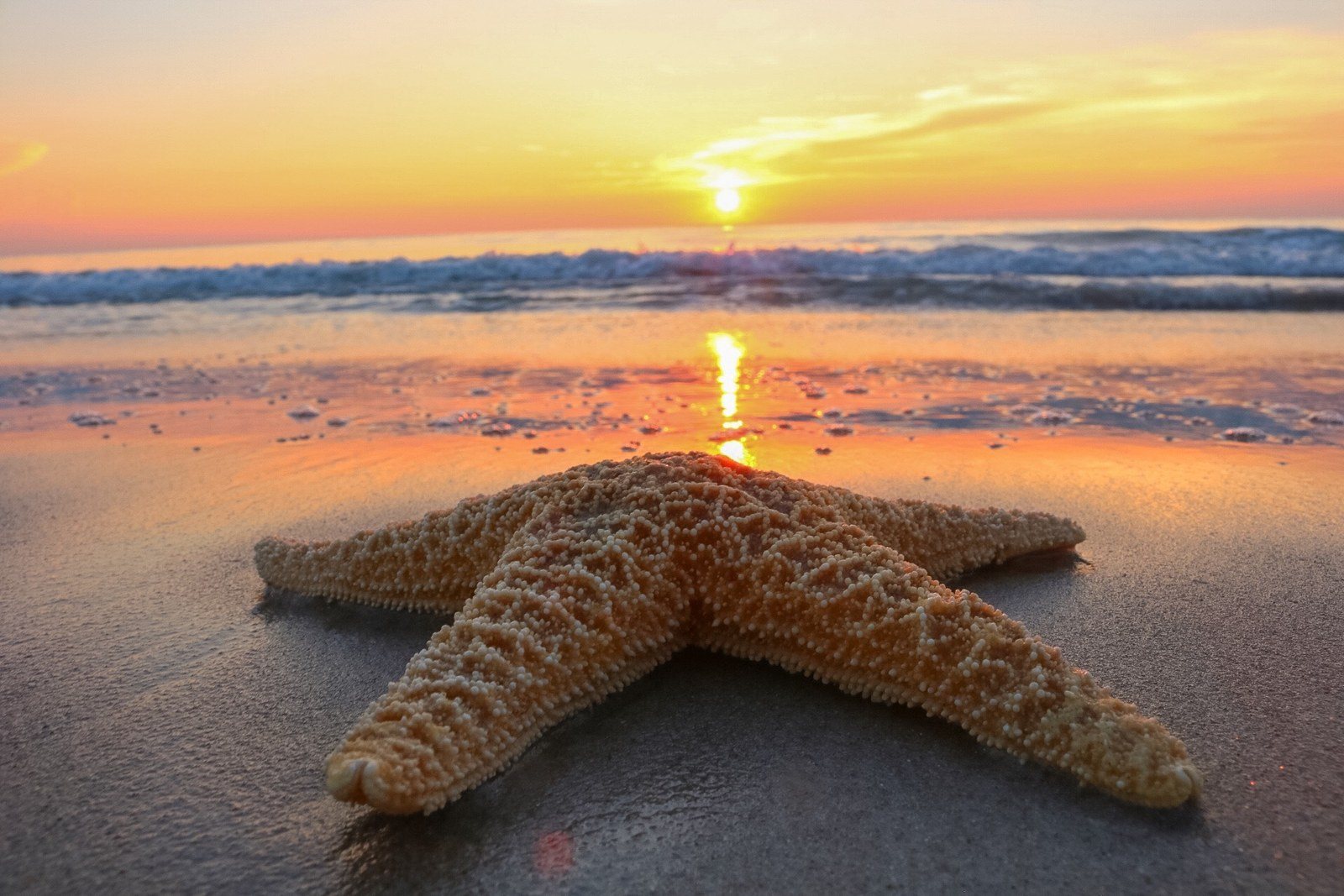 Vero Sunrise