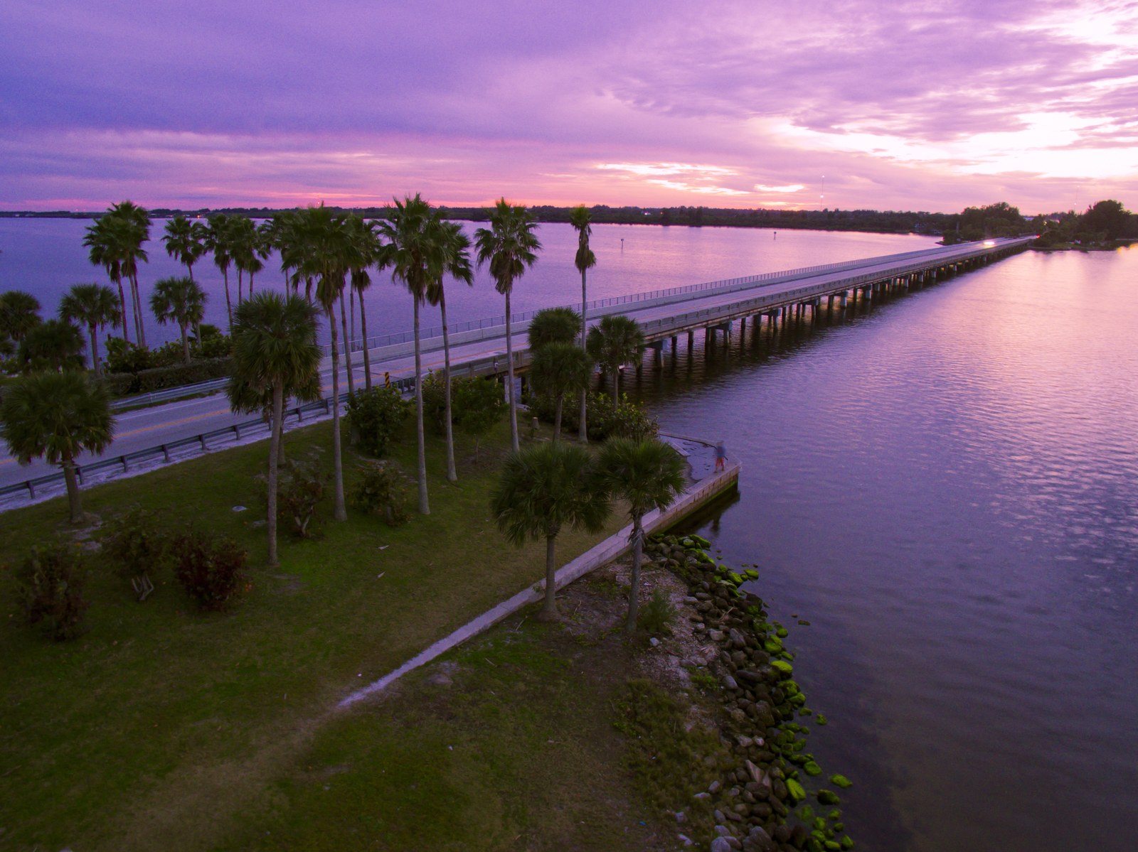 Magenta Sky