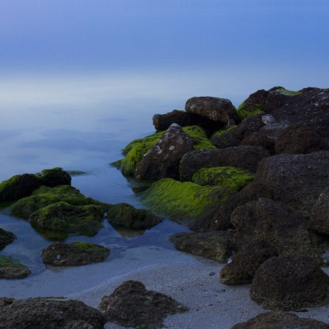 Serenity