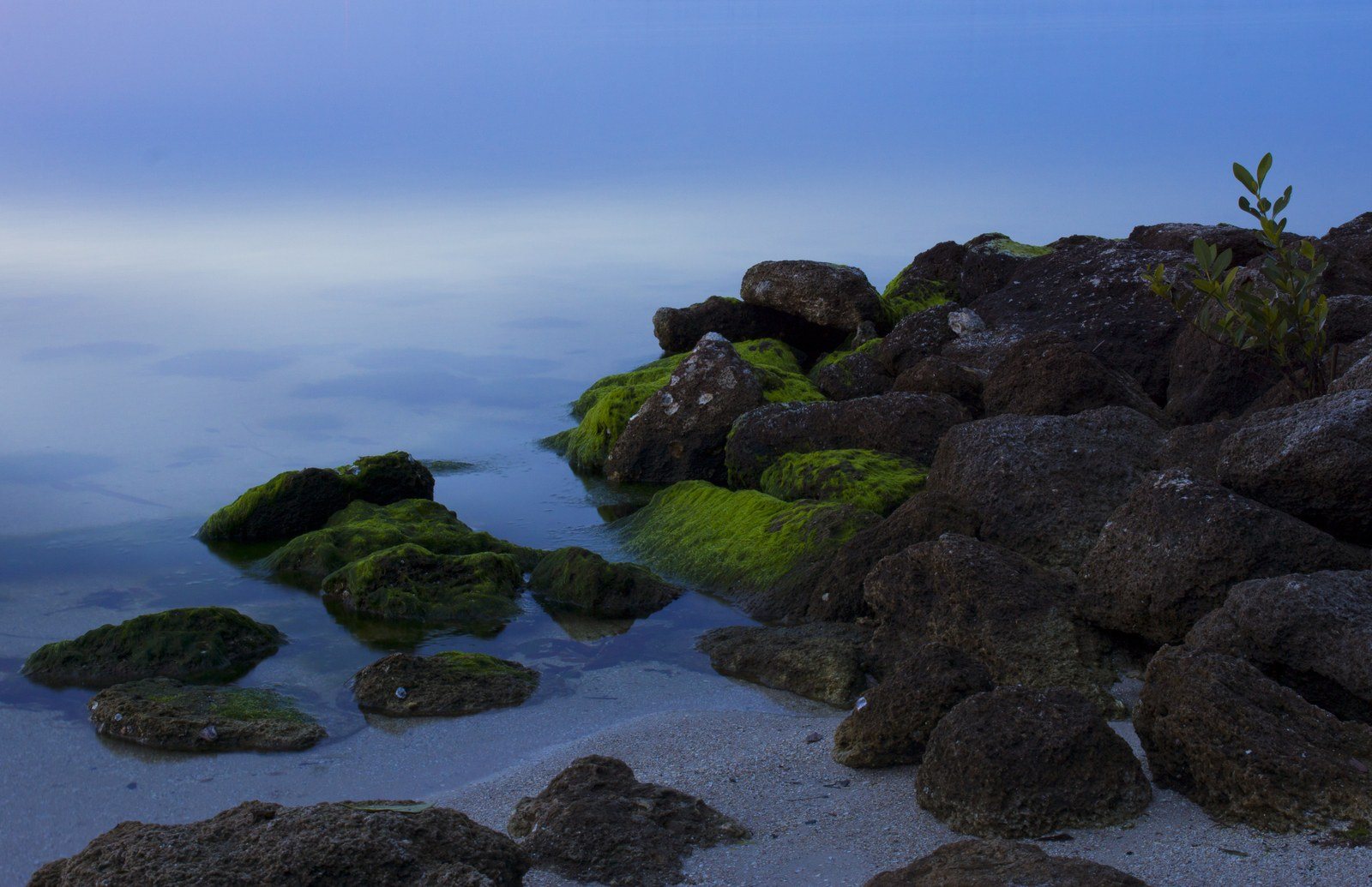 Serenity