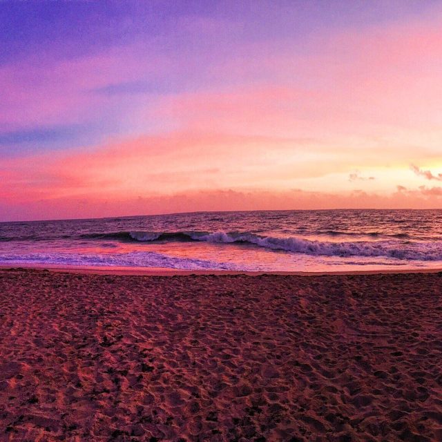 Pink Escape