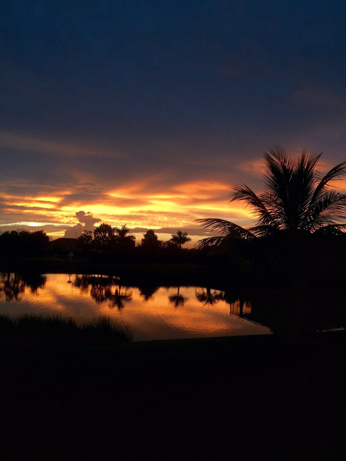 Calm Serenity