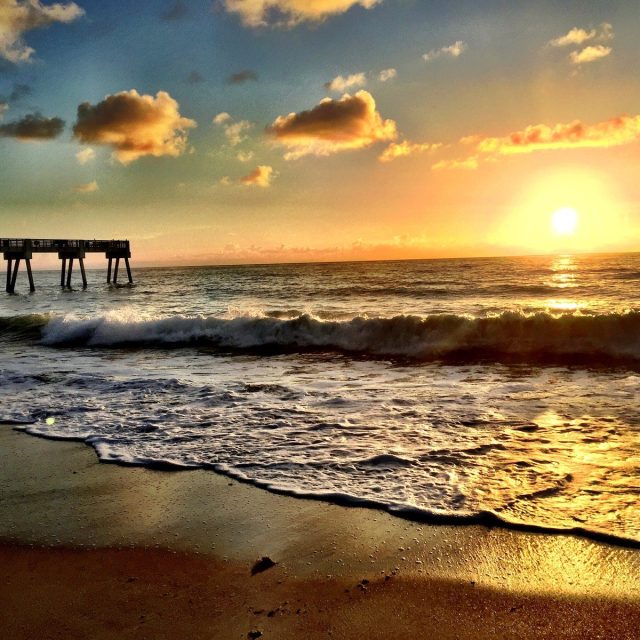 Morning Glory