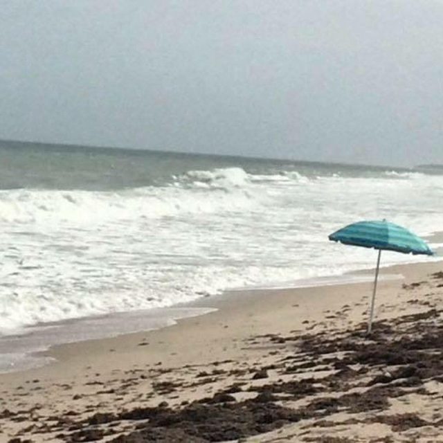 Winter In Vero
