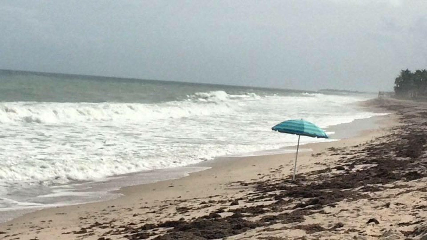 Winter In Vero