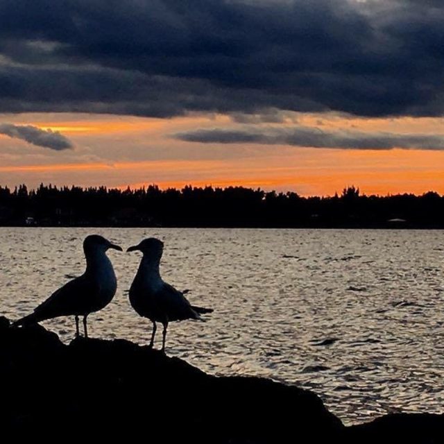 Love On The River