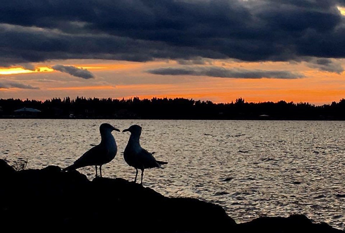 Love On The River