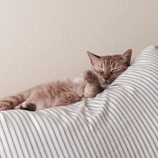 Easy Like Sunday Morning