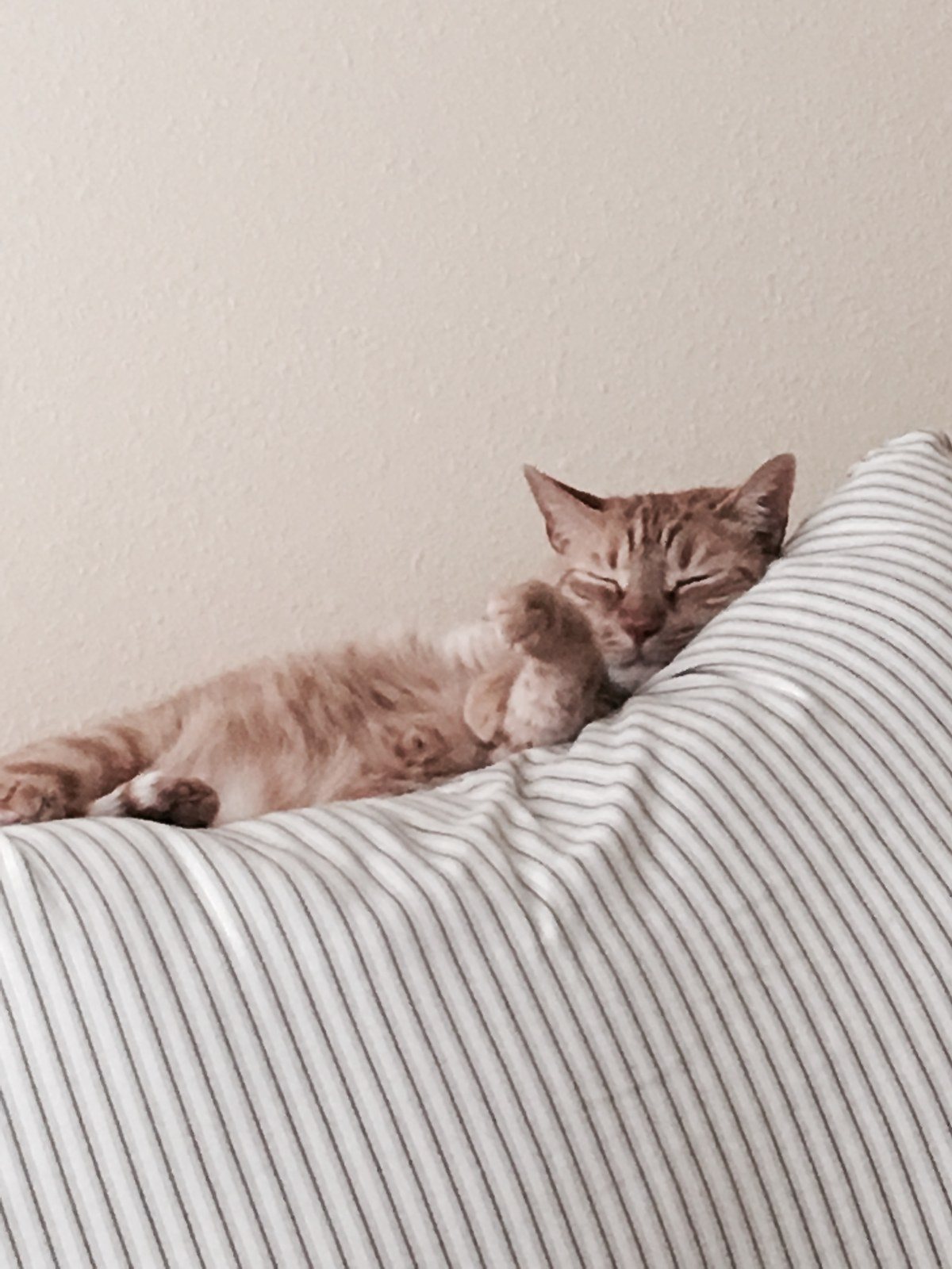 Easy Like Sunday Morning