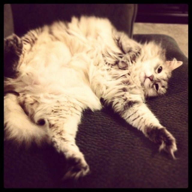 Rough Life