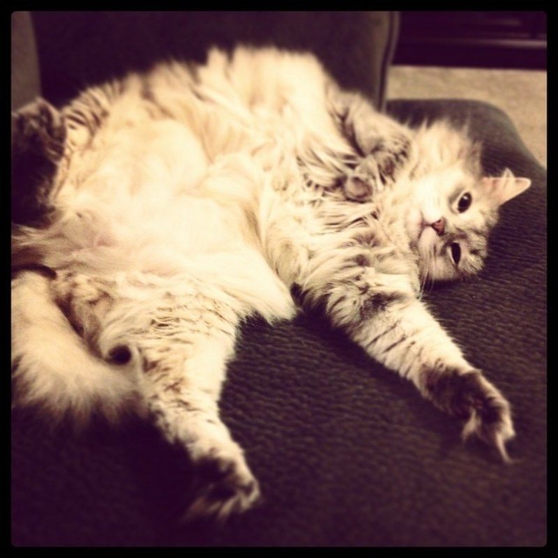 Rough Life