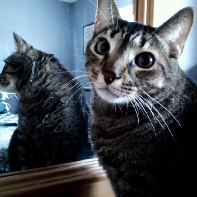 Seeing Double