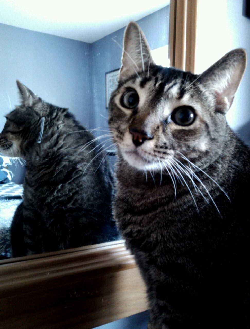 Seeing Double