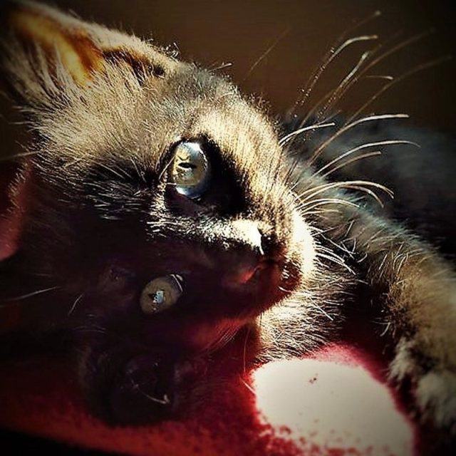 Woke Up This Way!
