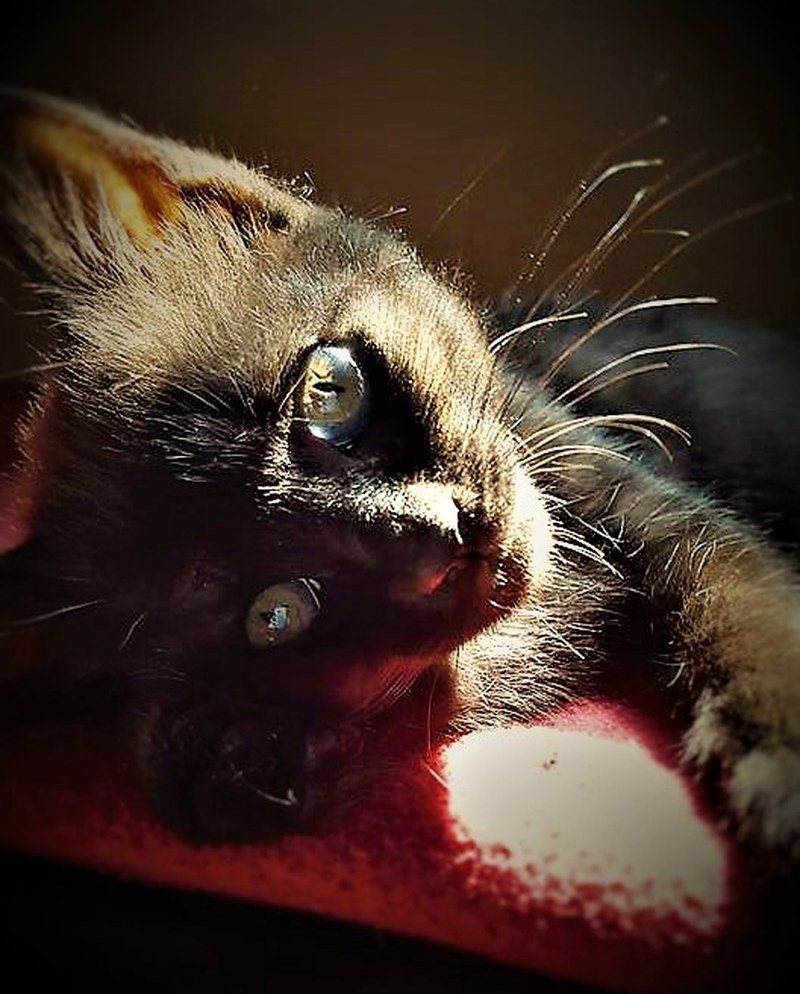 Woke Up This Way!