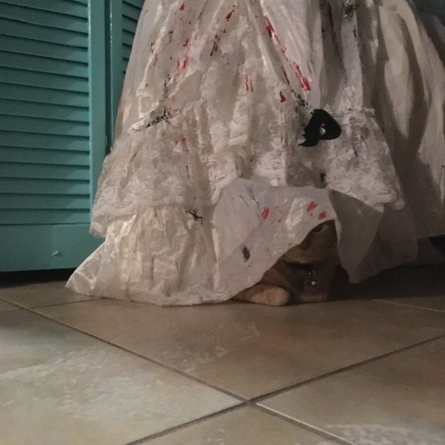 You Can't See Me