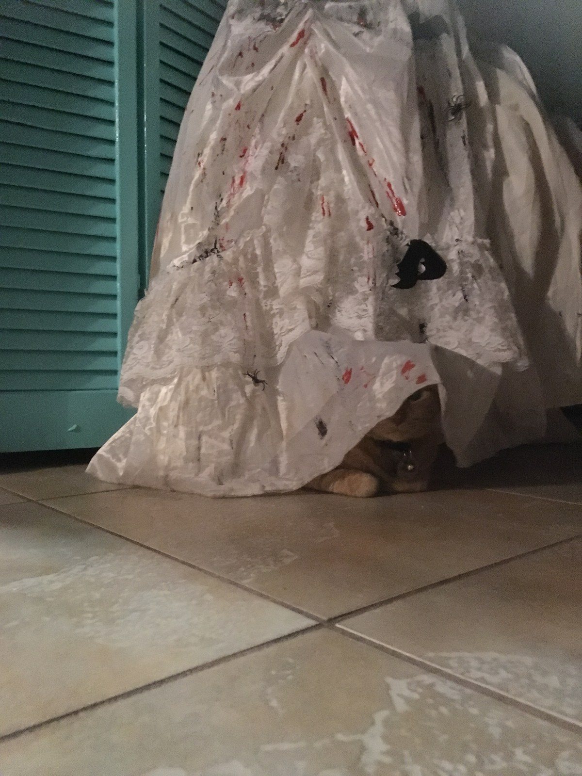 You Can't See Me