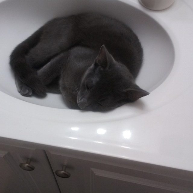 Roscoe