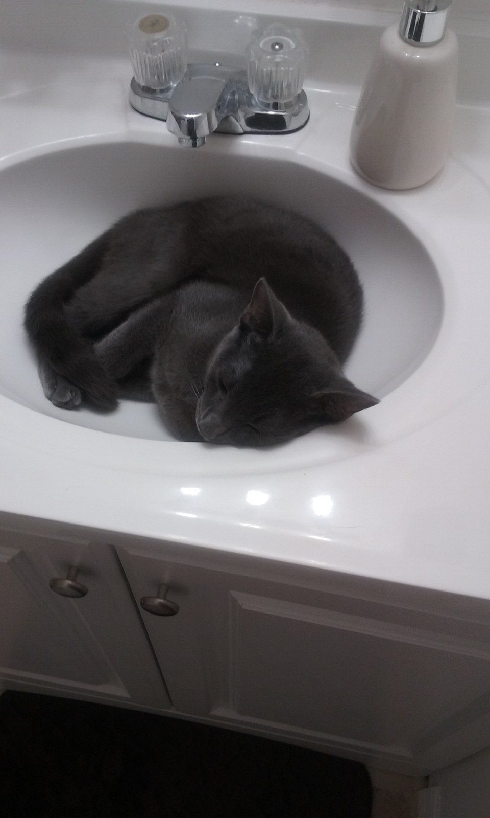 Roscoe