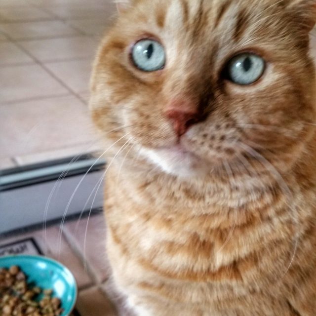 Look Into My Eyes