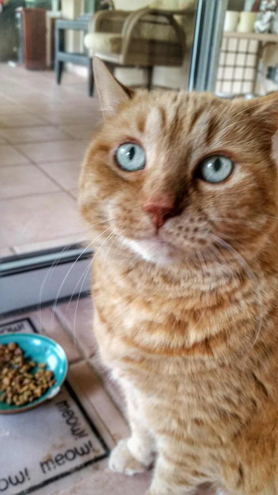 Look Into My Eyes
